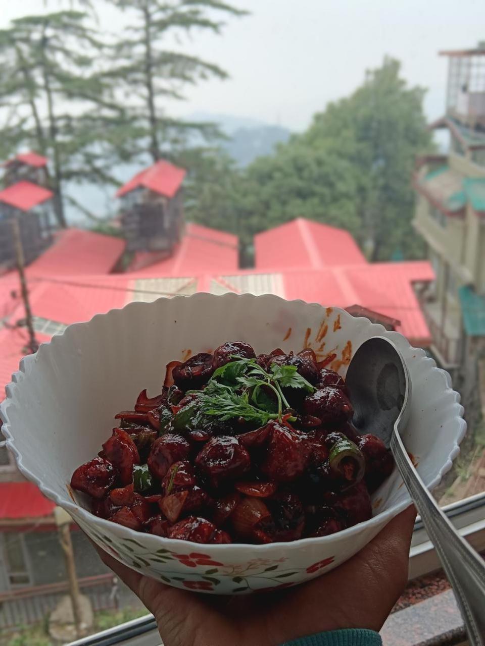 Hotel Jakhu Heights Shimla Bagian luar foto