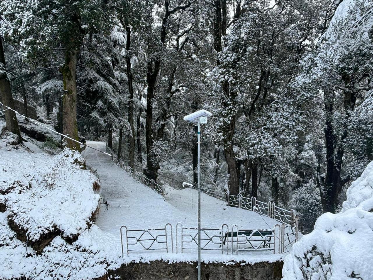 Hotel Jakhu Heights Shimla Bagian luar foto