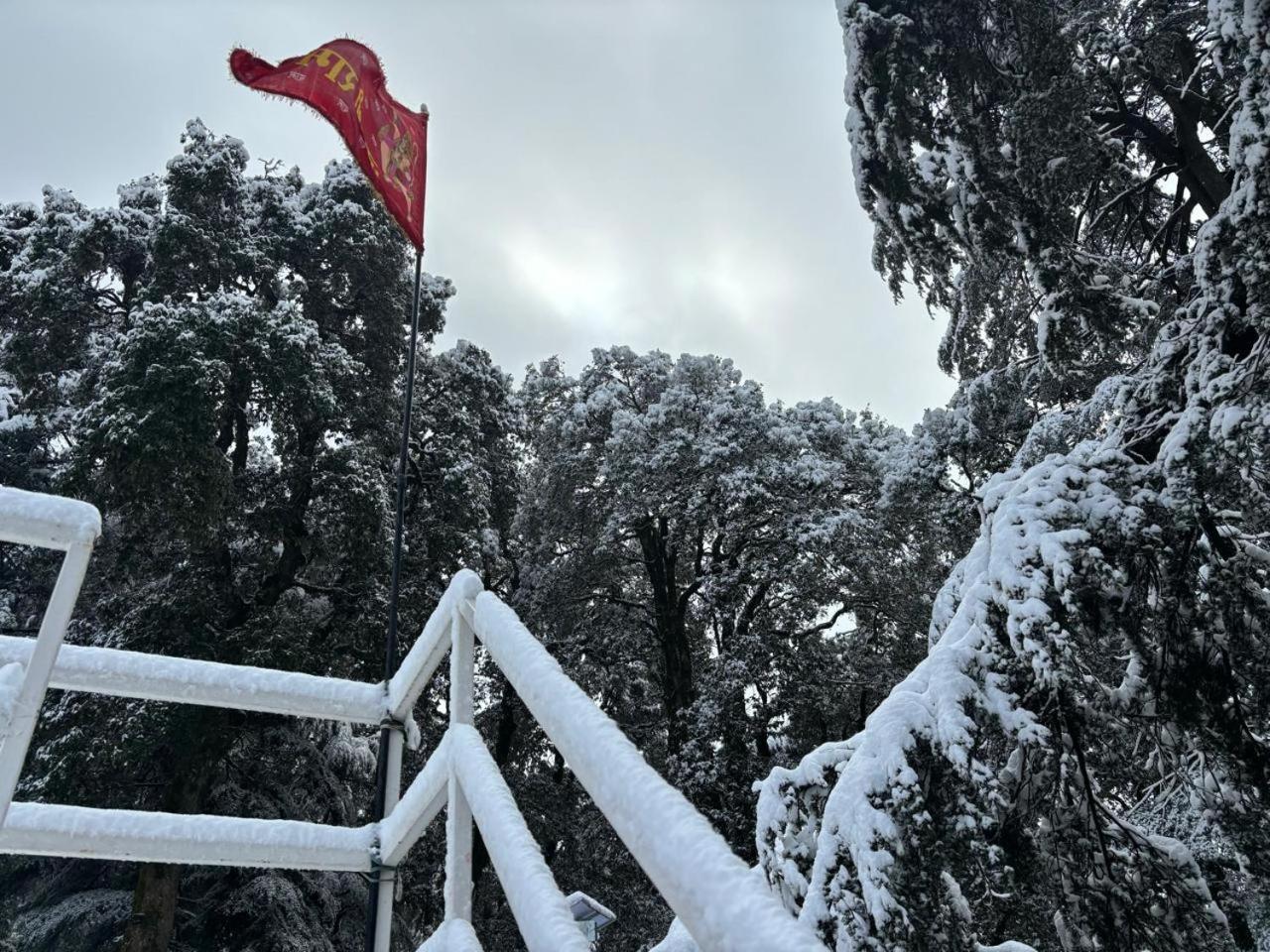 Hotel Jakhu Heights Shimla Bagian luar foto